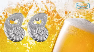 The Best Cast Iron Bottle Opener | for Beer Lovers