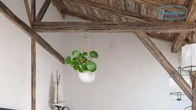 Bring Nature Indoors with HomeHand Cup Hooks