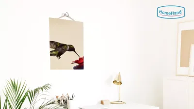 HomeHand Cup Hook Kit – Wall Organizer for Office & Home
