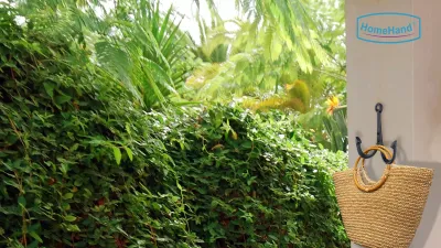 Upgrade Your Space with the HomeHand Cast Iron Wall Hook