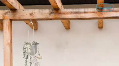 HomeHand | Cup Hook Kit for Ceiling-Mounted Plant Displays