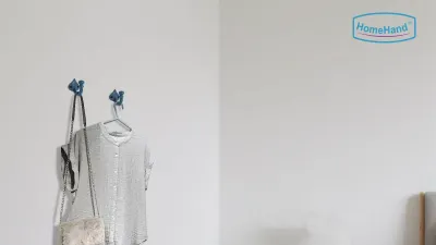 Best Coastal Accent: HomeHand Decorative Wall Hooks